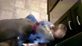 Weim kisses are the best!!