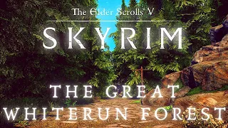 The Great Whiterun Forest - Walking Across All of Skyrim p.4 | Skyrim 4K Music & Ambience