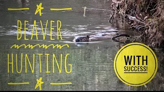 Beaver Hunting | Recovery | Meat Prep | Cooking Beaver