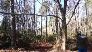 Tree Trimming With A Saiga 12!