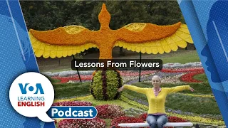 Learning English Podcast: Ukraine Flowers, Bird Flu, Solar Eclipse, Speech Intonation