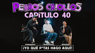 PERROS CRIOLLOS - YO QUÉ PUT455 HAGO AQUÍ, CAP. 40