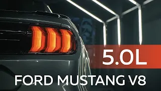 Ford Mustang 5.0L V8 - настоящий американский Muscle car!