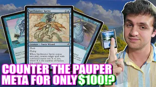 UNBOXING $100 Mono Blue Faeries For Pauper! Deck Tech for Magic: The Gathering