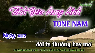 Tình Yêu Lung Linh (Remix) - Karaoke | Tone Nam | Nhạc Sống | Beat Chuẩn 2021