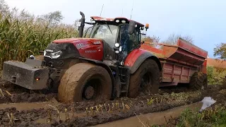 Case IH 300 Optum Sits Totally Stuck in The Muddy Field | Maize / Corn Chopping | Häckseln 2017