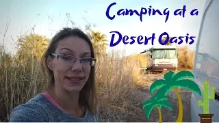 Boondocking at a Desert Oasis in Yuma, AZ - Sprinter Van Adventures