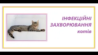 Cat's Breeder expert. Інфекційні захворювання котів. Людмила Ярова. 28.12.20