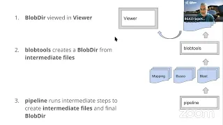 Mon 11 Sep, 08:00 - Visualising genome assembly cobionts by running BlobToolKit locally