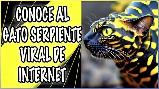 El Gato Serpiente Viral De Internet 🐈‍⬛🐍🙀 - SiamCatChannel