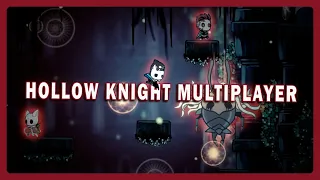 Возносящийся 112% Жучий флекс: Hollow knight Multiplayer