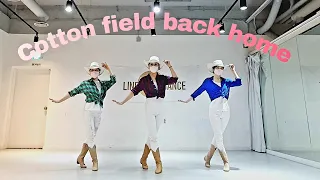Cotton Field Back Home Line Dance (Demo)
