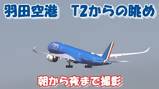 【日本一忙しい羽田空港で朝から夜まで撮影】JAL　ANA 特別塗装機　ITA　ルフトハンザ　たくあん　ポケモンジェット　羽田空港　Landing　Takeoff