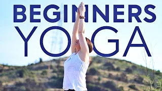 Yoga For Beginners At Home (20 Minute Class) Easy Yoga Poses For Flexibility