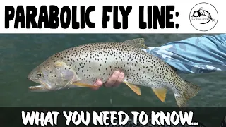 How to fish a parabolic (Sweep) sinking fly line