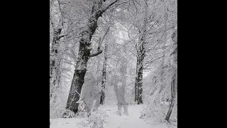 На белом покрывале января -Олег Хромов