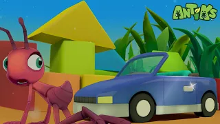 Petrol Heads Racecar! | Antiks! | Funny Cartoons For Kids | Oddbods & Friends