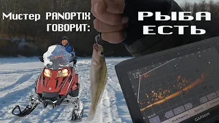 Рыбацкий биатлон, а что скажет директор стадиона? Рыбалка с Panoptix.