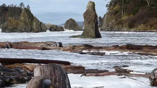 Rogue Wave Attacks - Ruby Beach Washington