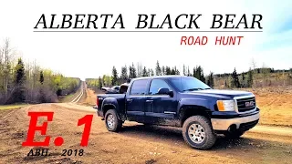 ALBERTA BLACK BEAR HUNT