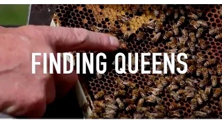 Finding Queens