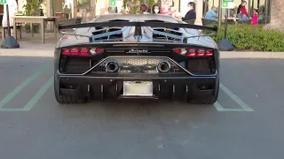 Lamborghini Aventador SVJ Start Up....