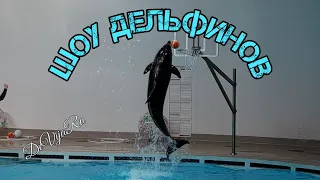 Шоу дельфинов* Дельфинарий Литовского морского музея #DeVijaRu