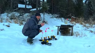 🏕Один в Таёжной Избе.Зимняя Рыбалка.Щука на Жерлицы.Топлю Баню.Быт в Лесу