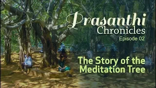 The Story of The Meditation Tree at Puttaparthi - Prasanthi Chronicles - 02