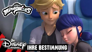 Ein gemeinsames Schläfchen | MIRACULOUS 🐞🐱