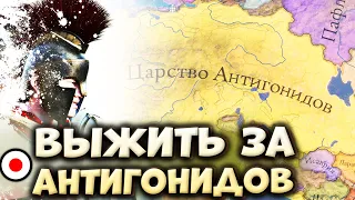 🔴ЦАРСТВО АНТИГОНИДОВ в Imperator: Rome