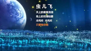 都市夜归人节目垫乐 - 虫儿飞