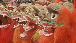 Chinese Lion Dance | An introduction (Hello China #39)