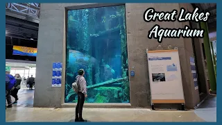 Things to do in Duluth, Minnesota | Ep 13 | Great Lakes Aquarium