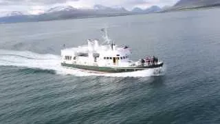 Ambassador Akureyri Whale Watching Tours