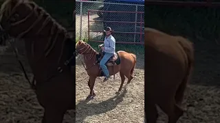 USA cowboy #rodeo #barrelracer #barrelracing #western #horse #quarterhorse #cowboy #sexy #rodeo #fyp