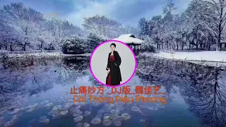 止痛妙方 _DJ版_ (Chỉ Thống Diệu Phương)#魏佳艺#抖音热门最好听的歌曲2022🔥