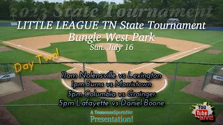 Little League TN State July 16 Day 2 Action