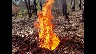 How to Burn Leaves easily,  Gary J