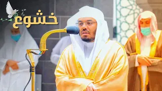 يتغنى مجدد التراتيل د. ياسر الدوسري في تلاوات آسرة ومميزة من سورتي هود والجاثية | 2-8-1443هـ