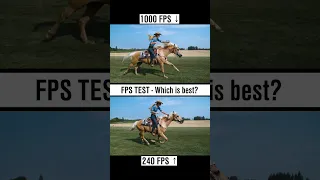 60fps vs 120fps vs 240fps vs 480fps vs 1000fps Horse Gallop