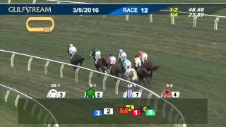 Gulfstream Park Race 12 | March 5, 2016