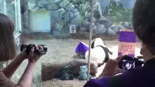 Mei Lun and Mei Huan Turn 2