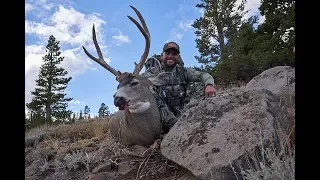 Chad Mendes' California Backcountry hunt!