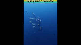 समुद्री दुनिया के 3 रहस्यमय जीव#shorts#shortvideo#ocean.