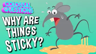 Why Are Things Sticky? | COLOSSAL QUESTIONS