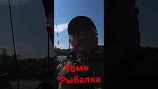 Рыбалка на Томи ! #рыбалка#хариус#окунь#готовка