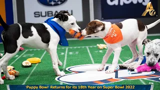 ‘Puppy Bowl’ Returns for its 18th Year on Super Bowl 2022