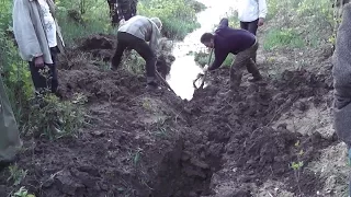 Дачники острова Сарпинский в Волгограде начали ручную борьбу с маловодьем