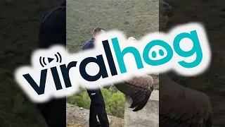 Police Release Vulture || ViralHog